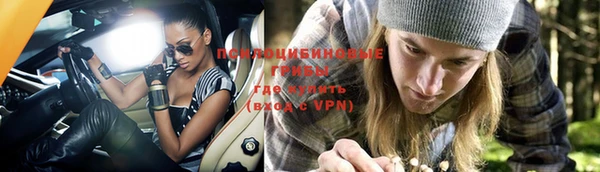 ПСИЛОЦИБИНОВЫЕ ГРИБЫ Козловка