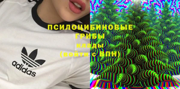 2c-b Корсаков