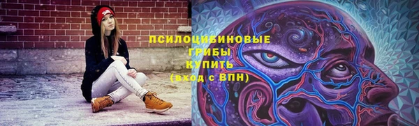 амф Костерёво
