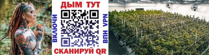 Каннабис ГИДРОПОН  Кола 