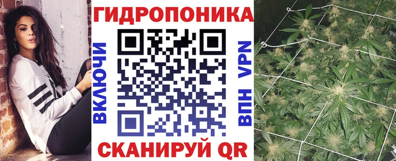 Бошки марихуана Bruce Banner Кола